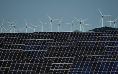 ¿Invertir en renovables? De la curva de pato al cisne negro