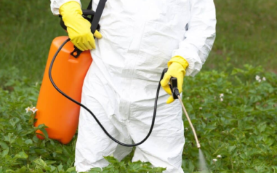 Revive polémica estudio retirado sobre glisofato