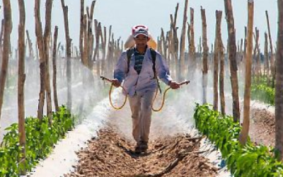 CAADES y ANUR destacan avances en revisión de iniciativa de Ley General de Aguas