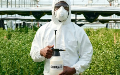 Revive academia interrogantes del glifosato