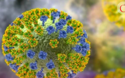 Alerta por gripe H3N2: la variante de influenza que está cerrando escuelas y saturando hospitales en Reino Unido