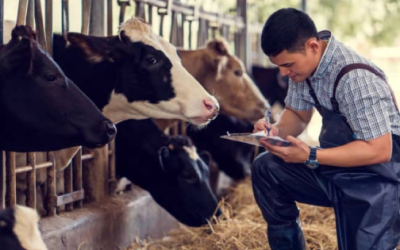 Reprochan productores insensibilidad