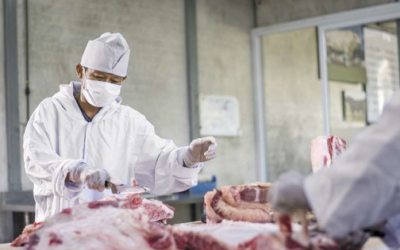 Solicitan aumentar sanidad en carne