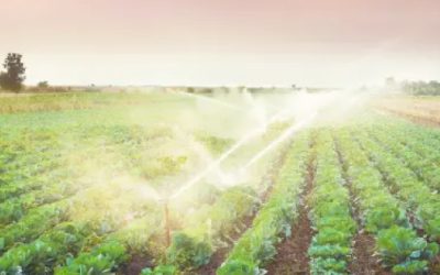 La nueva ley de aguas nacionales genera certidumbre jurídica y patrimonial: CNA