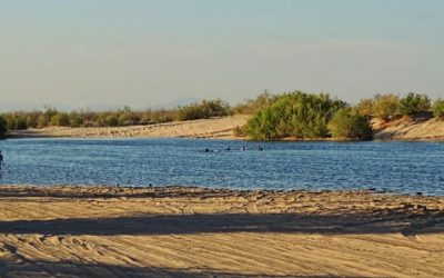 Pagar agua a EE.UU. causaría “hambre” en la frontera mexicana, advierten agroindustriales