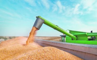 Maíz y trigo suben gracias a exportaciones