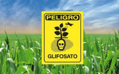 Urgen a que México prohíba el glifosato por riesgos a la salud