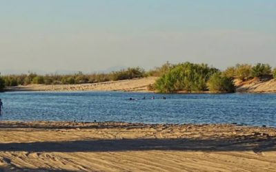 CNA advierte riesgos para la agricultura por entrega de agua y prácticas desleales en importaciones