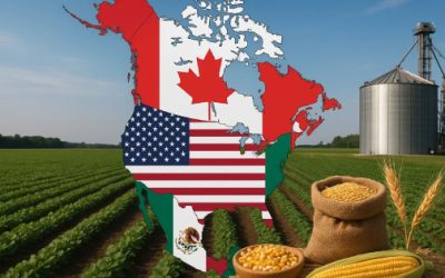 CNA llama al diálogo ante inconformidad del campo y riesgo de nuevas protestas