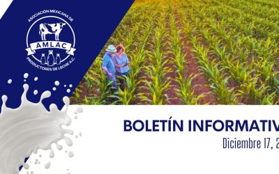 Nota informativa 17 de diciembre de 2025