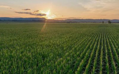 El CNA también invitó al diálogo y reconoció a los pequeños, medianos y grandes productores