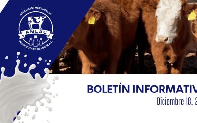 Nota informativa 18 de diciembre de 2025