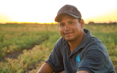 El secretario de Agricultura aseguró que el campo mexicano está de pie