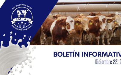 Nota informativa 22 de diciembre de 2025