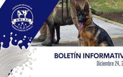 Nota informativa 24 de diciembre de 2025