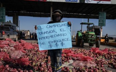 Sector primario concentra 1.7% del crédito total de la banca, en su mínimo de 17 años