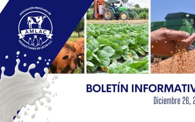 Nota informativa 26 de diciembre de 2025