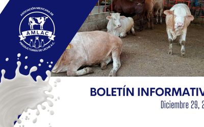 Nota informativa 29 de diciembre de 2025