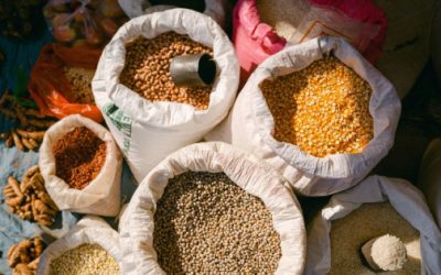 México profundiza su dependencia alimentaria: granos y oleaginosas solo cubren 44% del consumo