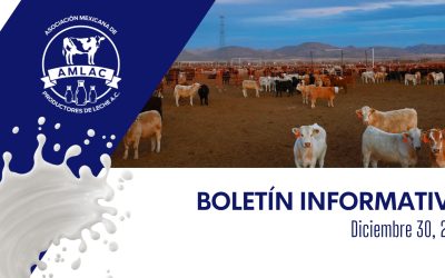 Nota informativa 30 de diciembre de 2025