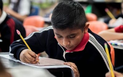 27.5 millones de personas tienen rezago educativo: INEA