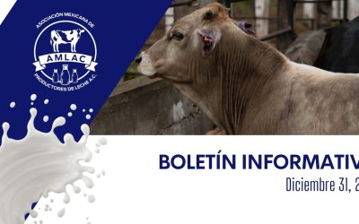 Nota informativa 31 de diciembre de 2025