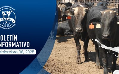 Nota informativa 08 de diciembre de 2025