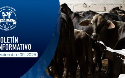 Nota informativa 09 de diciembre de 2025