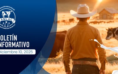 Nota informativa 10 de diciembre de 2025