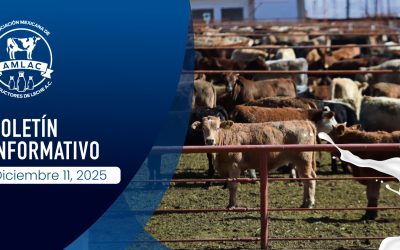 Nota informativa 11 de diciembre de 2025