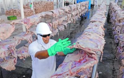 Perfilan cupos de importación para carne de res y cerdo desde países como Brasil