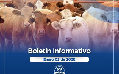 Nota informativa 02 de enero de 2026