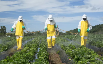 Cuando el campo resiste