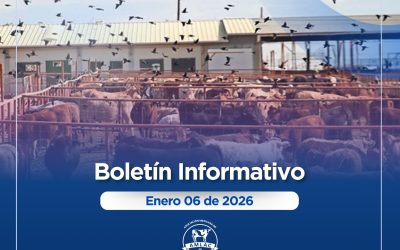 Nota informativa 06 de enero de 2026