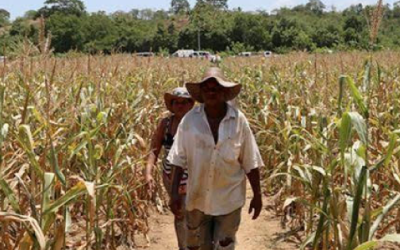Exigen atención al campo
