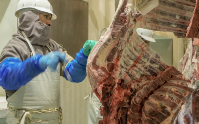 Analistas advierten riesgos de especulación y alza en costos por cupos a importaciones de carne