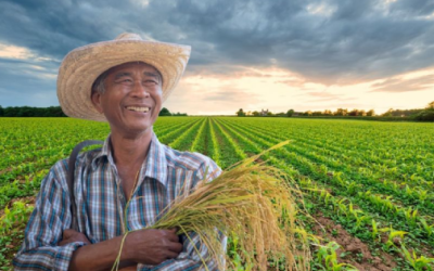 Amplían hasta abril, registro al Programa Especial de Energía Eléctrica para el Campo