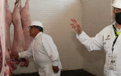 Intensifican supervisiones en rastros municipales del Edomex para asegurar carne en condiciones adecuadas