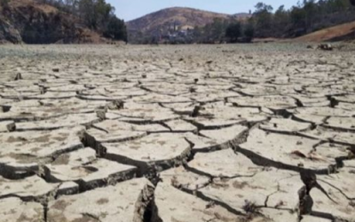 Sequía pone en riesgo la agricultura en Tamaulipas