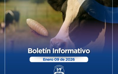 Nota informativa 09 de enero de 2026