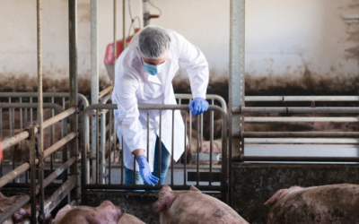 Exigen fondos para sanidad pecuaria