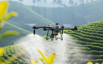 Se apoyo con drones a agricultores para combatir plagas, reducir costos y elevar producción