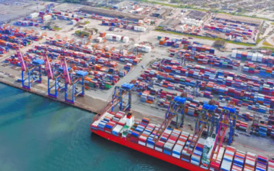 TLC nos hará polvo: agricultores europeos