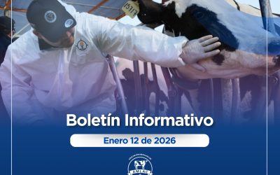 Nota informativa 12 de enero de 2026