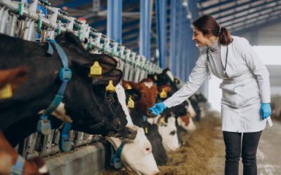 Exigen fondos para sanidad pecuaria