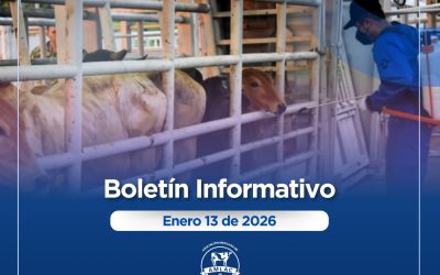 Nota informativa 13 de enero de 2026