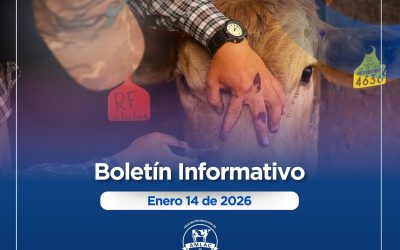 Nota informativa 14 de enero de 2026