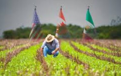 Revisión del T-MEC ¿qué sucederá con el tema agroalimentario?