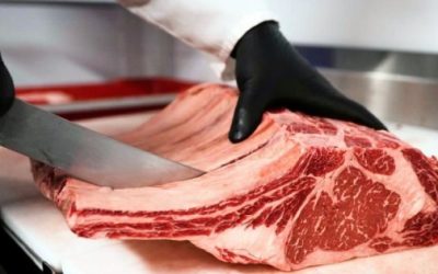 Garantizan empresarios abasto de carne de res