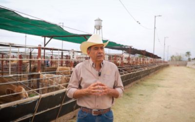 Pasa de reconocido ganadero a extraditado a EU por narco